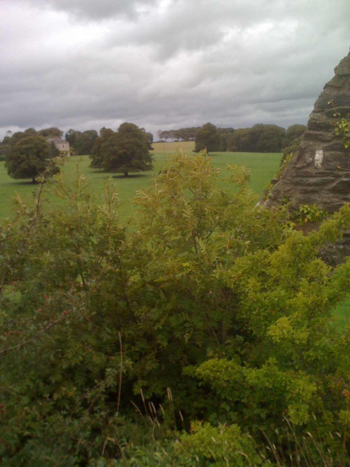 Looking out from the ruins of Castle Annaghs in Waterford, Ireland.