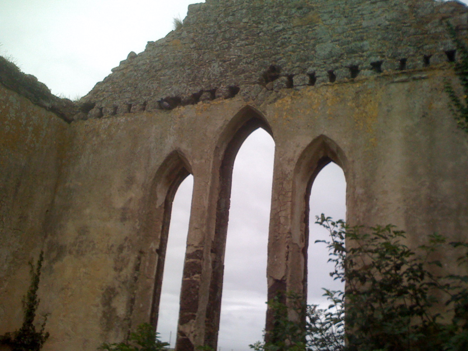 Ruins of the "French Church" in Waterford, Ireland.