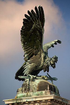 A turul bird in Budapest.