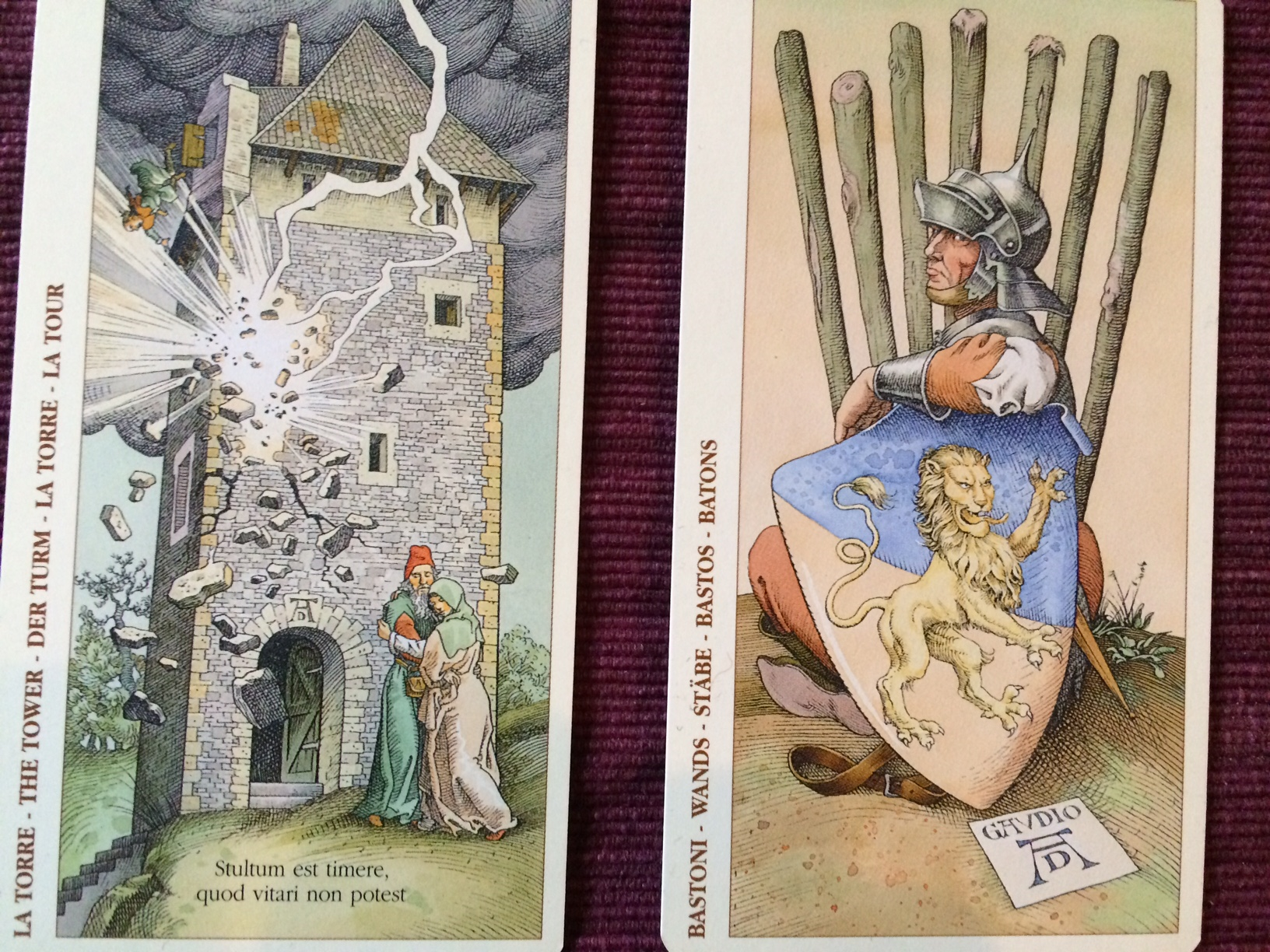 The Tower and Seven of Wands cards from the "Tarot of Durer" by Lo Scarabeo.
