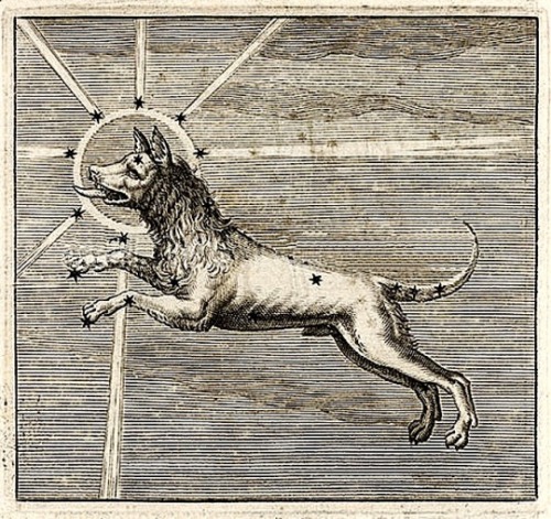 The History Of Sirius The Dogstar